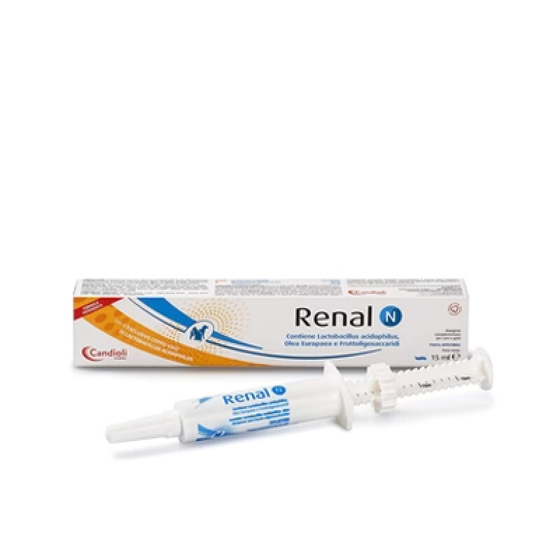 Renal N Pasta Renal N Pasta
