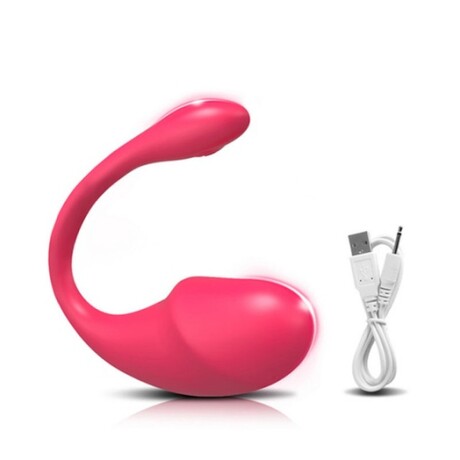 Egg Vibrator W/APP Egg Vibrator W/APP