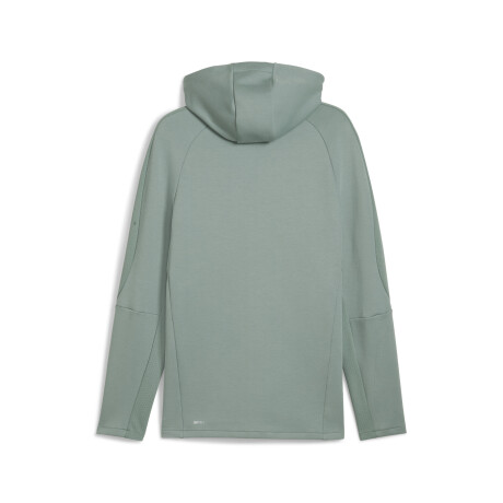 EVOSTRIPE Full-Zip Hoodie DK 68461330 Verde