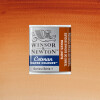 Acuarela Cotman - Winsor & Newton Tonos Tierra