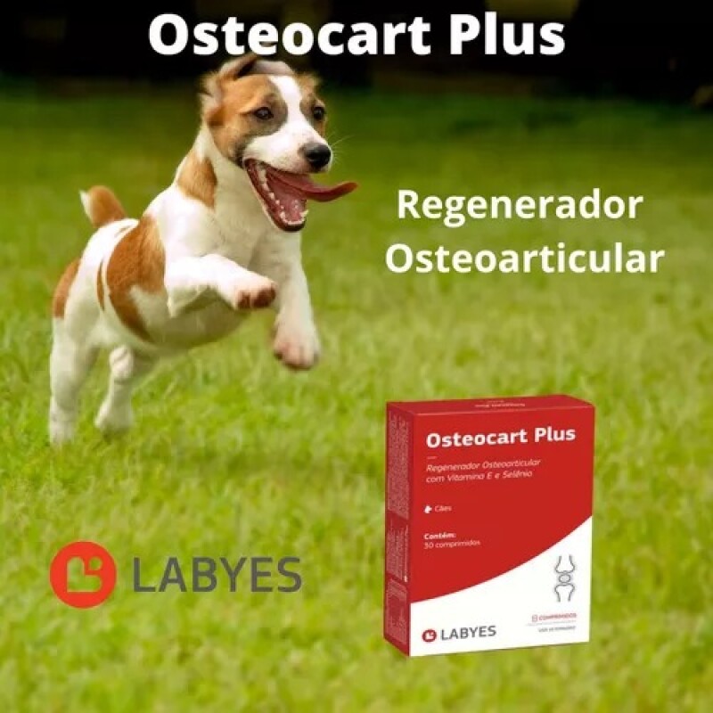 OSTEOCART PLUS X BLISTER DE 10 COMPRIMIDOS