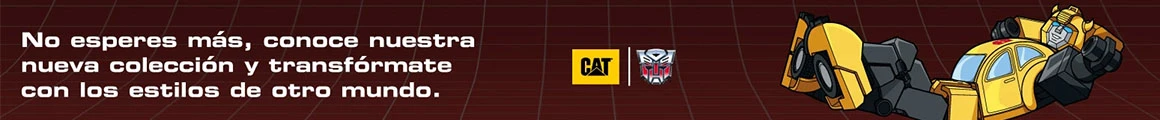 CAT X TRANSFORMERS