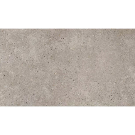 PORCELANATO RECTANGULAR MATE GRIS CLARO CEMENTO 60X120 CM GAMAS DE GRIS