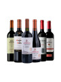 Pack Bacán Selección Everyday x6 vinos Pack Bacán Selección Everyday x6 vinos