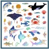 Set de 160 stickers Del mar