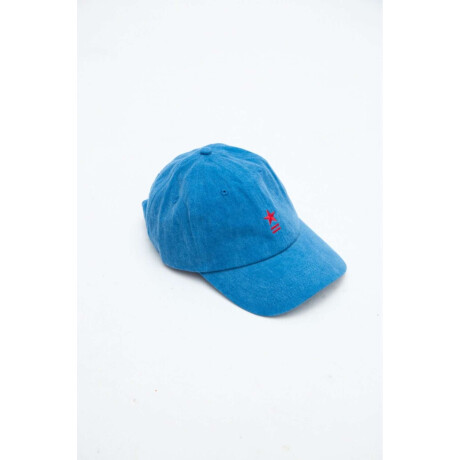 Gorra Hollis Denim