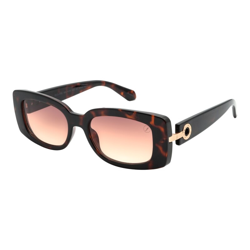 Lentes de Sol Chilli Beans Anitta Animal Print