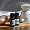 Aceite 10ml hornito Lavanda