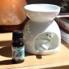 Aceite 10ml hornito Lavanda