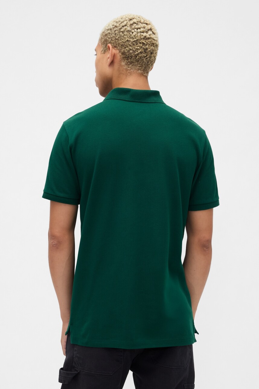 Polo Oso Brannan Hombre Evergreen Glamour