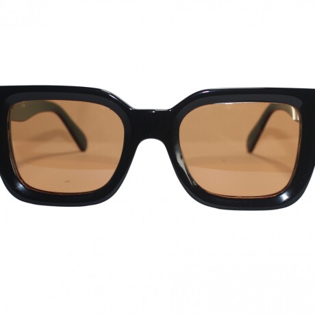 6089 Sol Negro+Marron