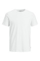 Camiseta Básica De Algodón Orgánico White