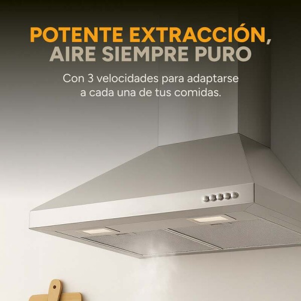 Campana De Cocina Extractor Goldtech 60cm Inoxidable Luz Variante Color Plateado