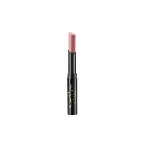 LABIAL PERFECT STAY 100% MATE ARMAND DUPREE TWEED