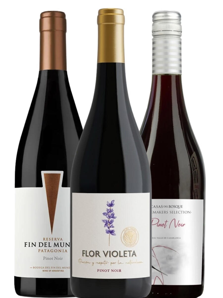 Pack Pinot Noir Cono sur 