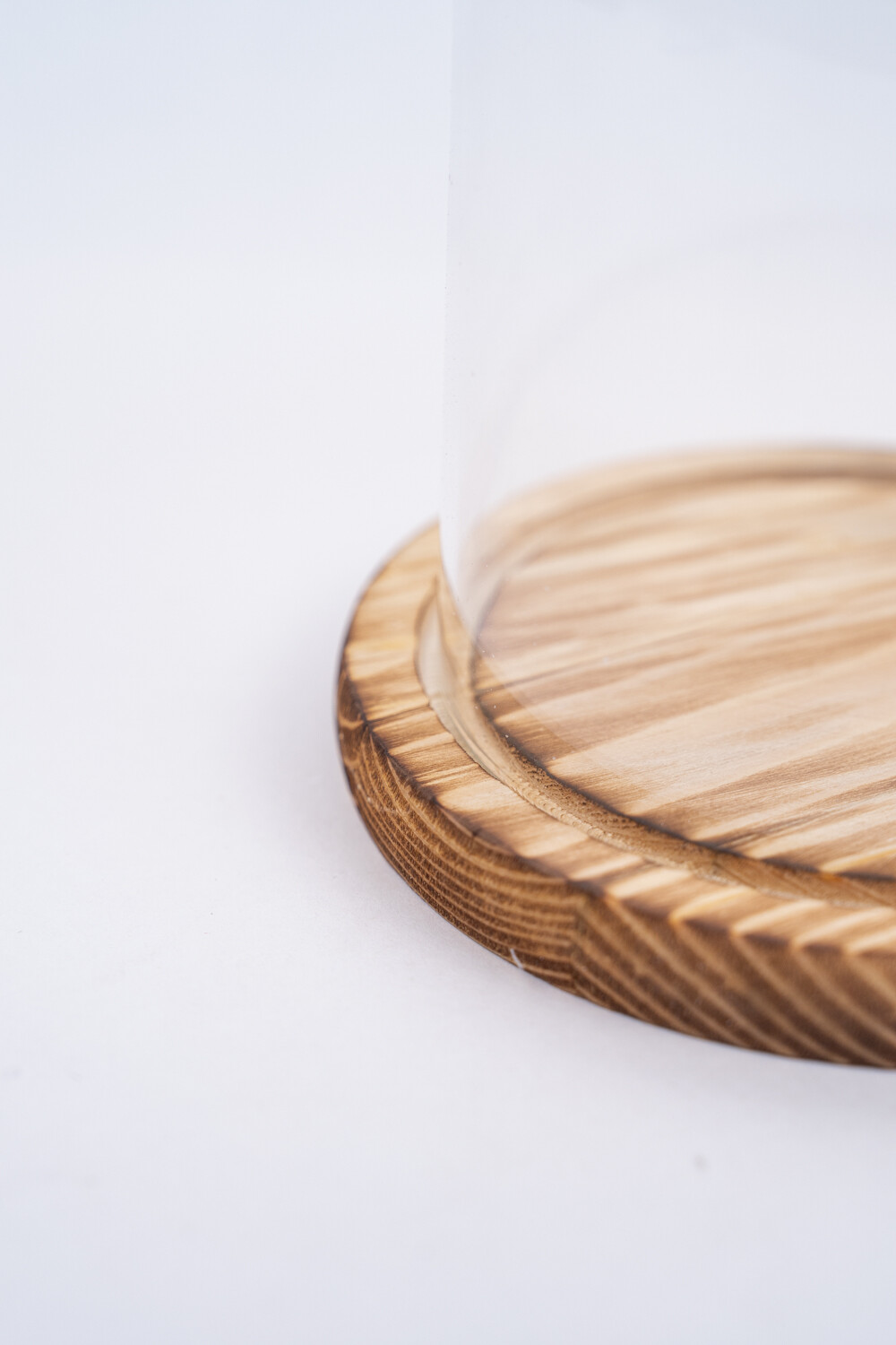 Terrario Ser Color Unico