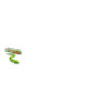 Robo Alive King Python Robo Alive King Python