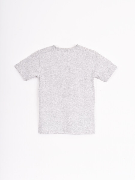 REMERA FORMULA GRIS MELANGE M