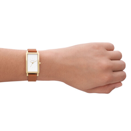 Reloj Skagen Clásico Cuero Marrón 0