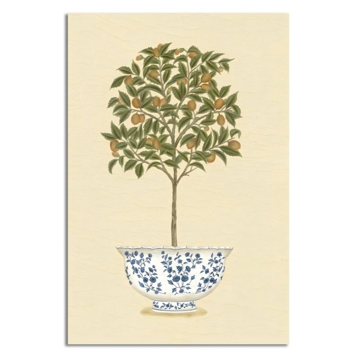 CUADRO CANVAS 40x60cm ÁRBOL 1 