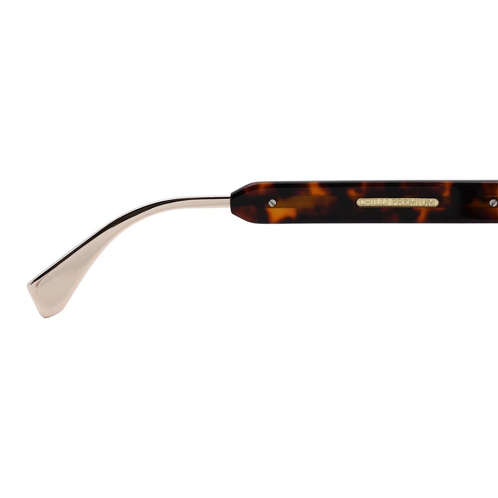 Lentes de sol De Acetato Redondo Premium Gradiente Marón/Tortuga