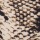 Colaless Alaia Print 2