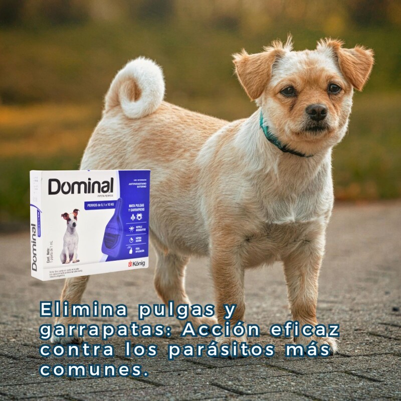 PIPETA ANTIPULGAS Y GARRAPATAS PARA PERROS DOMINAL KONIG DE 5 A 10 KG