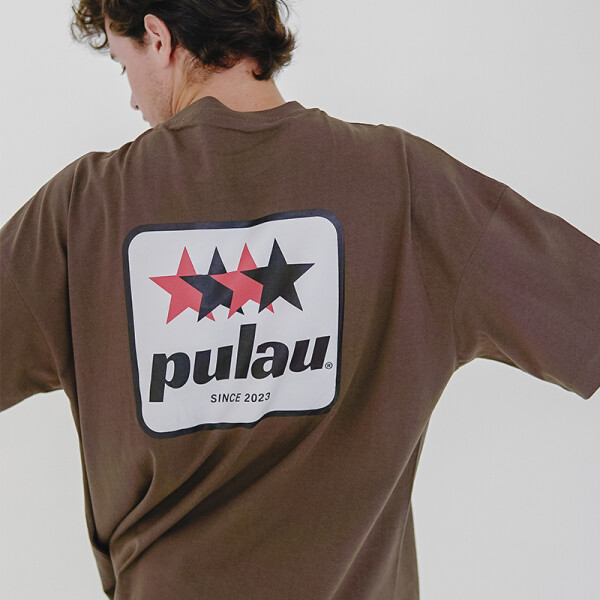 Remera Pulau Tau Marrón