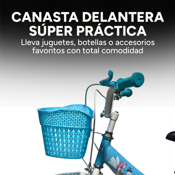 Bicicleta infantil Shengdi Rodado 18 Canasto Parrilla Hadas Color Celeste