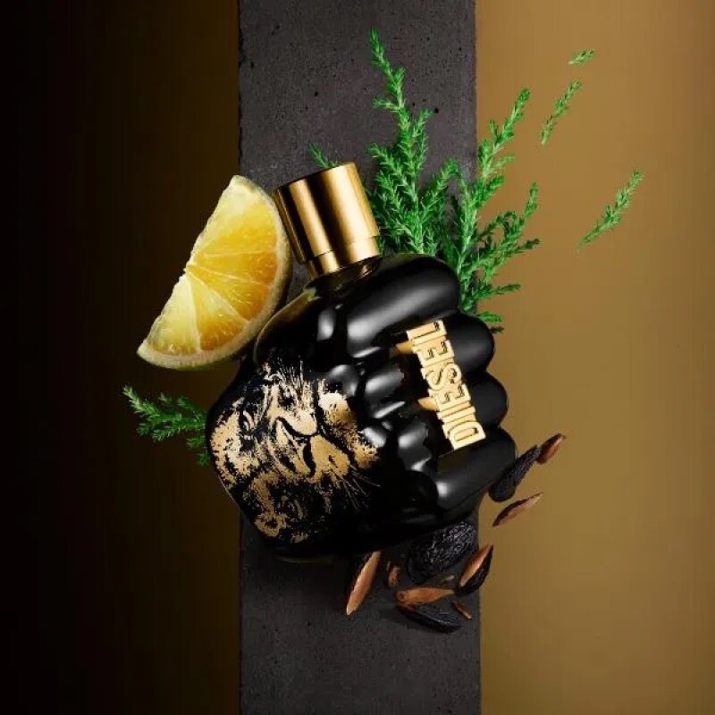 Perfume Diesel Spirit Of The Brave 50ml For Men Perfume Diesel Spirit Of The Brave 50ml For Men
