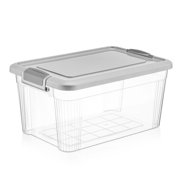 Caja organizadora 5.7L 29.8x19.8x14.9 cm QLUX IDEA Caja organizadora 5.7L 29.8x19.8x14.9 cm QLUX IDEA