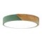 Luminaria Luz Fria Plafon Led Diám 30cm Metal Y Madera Verde