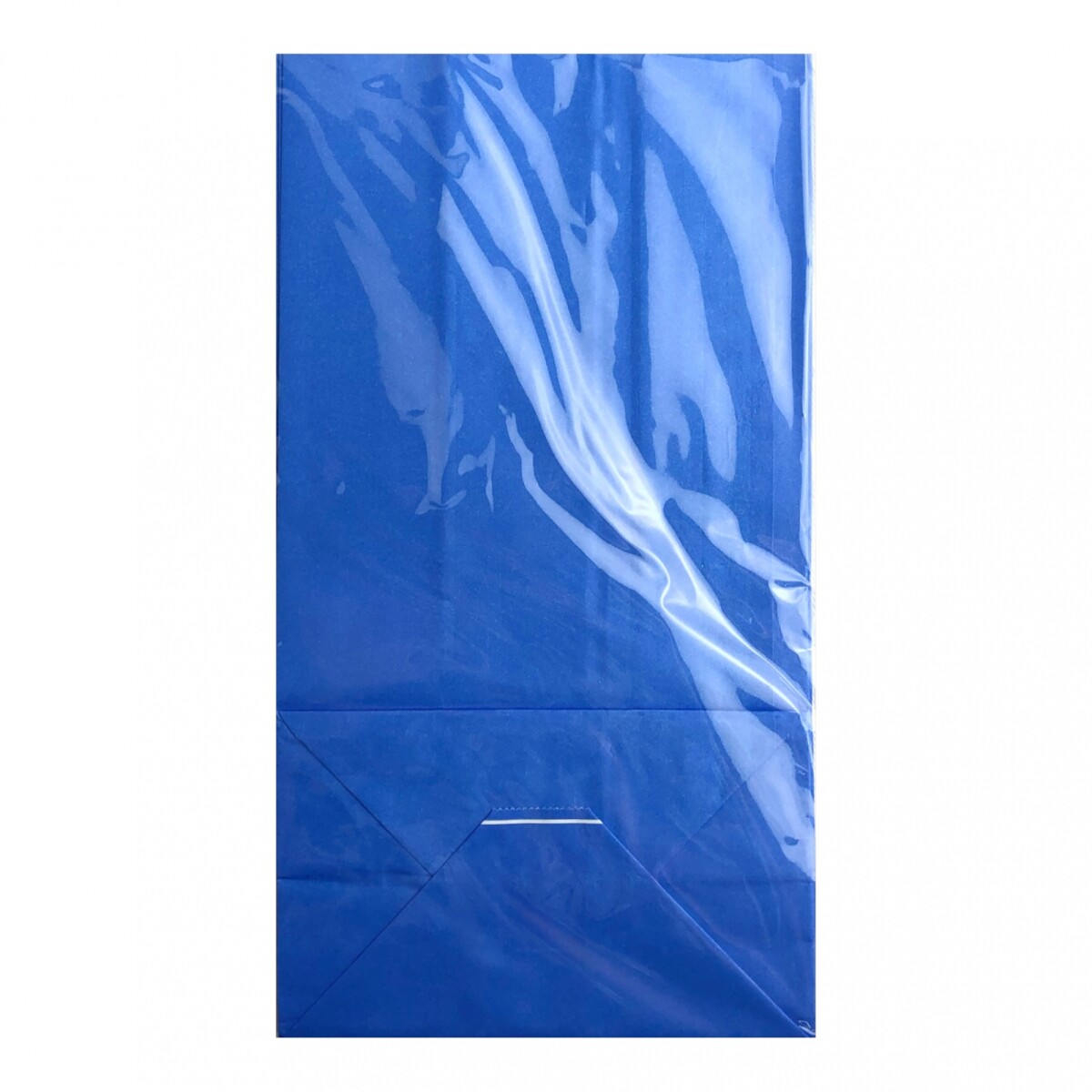 Bolsa de Papel Grande S/Asa x 10 - Azul 