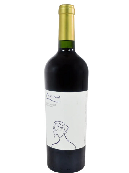 Artesana Tannat-Merlot Artesana Tannat-Merlot