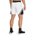 Curry Mesh Short 4-WHT WHT-100