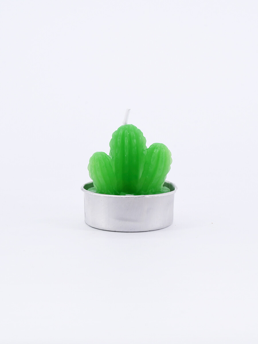 SUCULENTA VELA VARIOS CACTUS - VERDE 