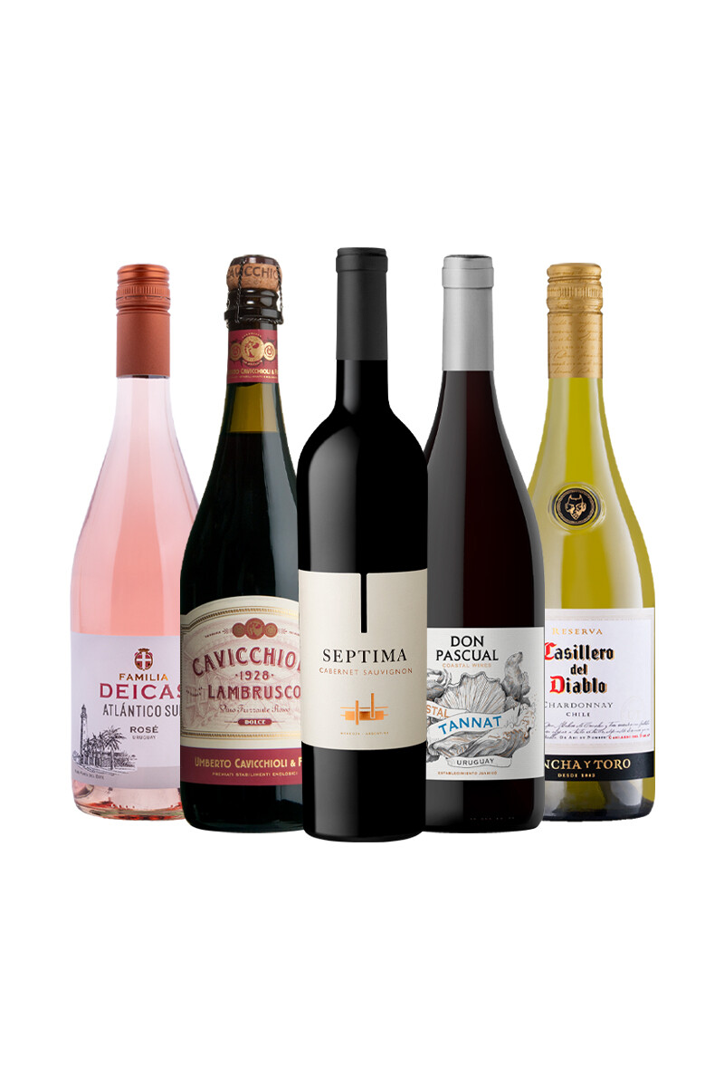 Pack Selección Expresiones del vino x5 vinos Equilibrio y Elegancia 