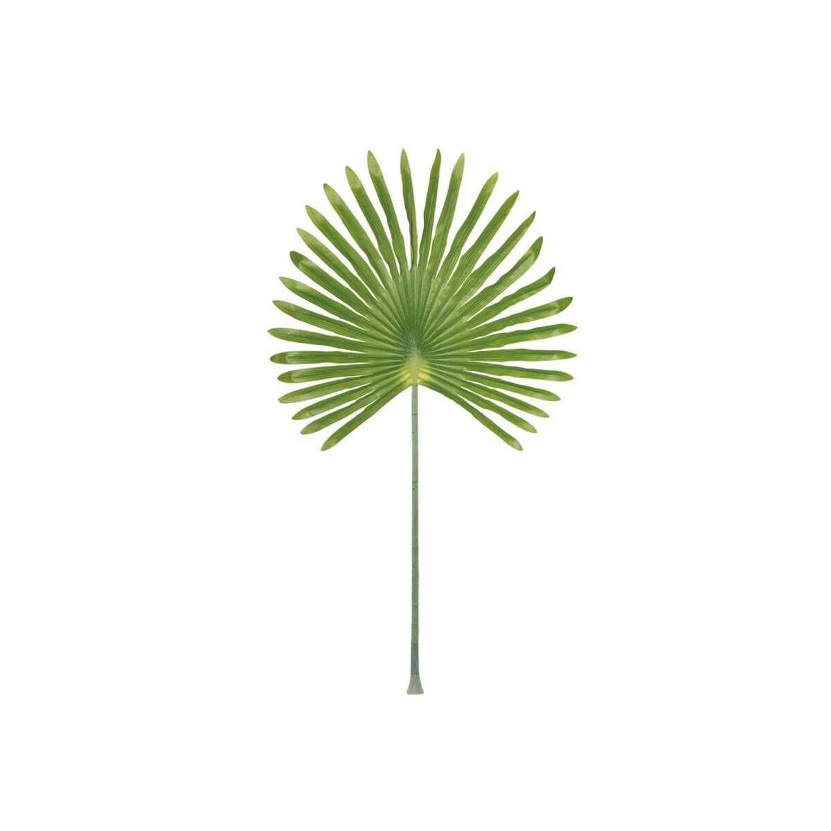 HOJA DE PALMA VERDE 59x3x103CM 