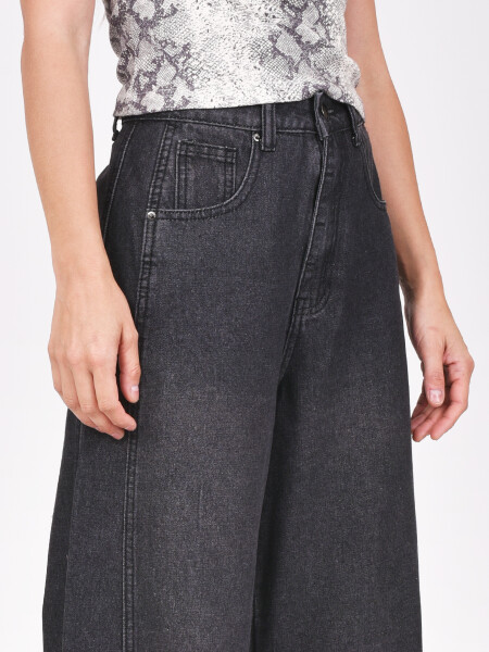 JEAN BAVIERA GRIS