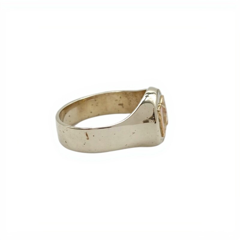 Anillo Profesión Registros Médicos -Plata y Oro-Sin Piedra-AP5027 sinpiedra