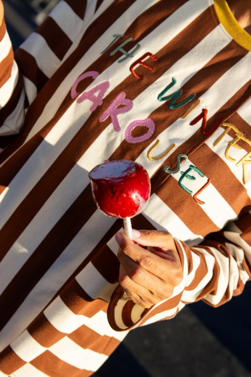 Remera Poscard MARRON