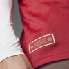CAMISETA ANIVERSARIO FC BAYERN Gray