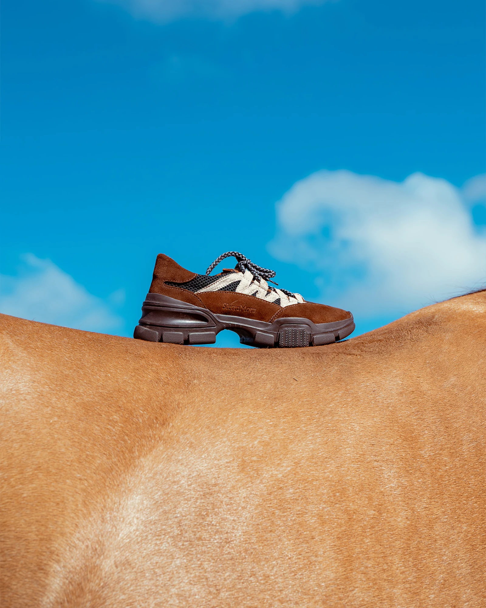 Capitán Shoes
