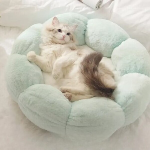Cama Flor Celeste