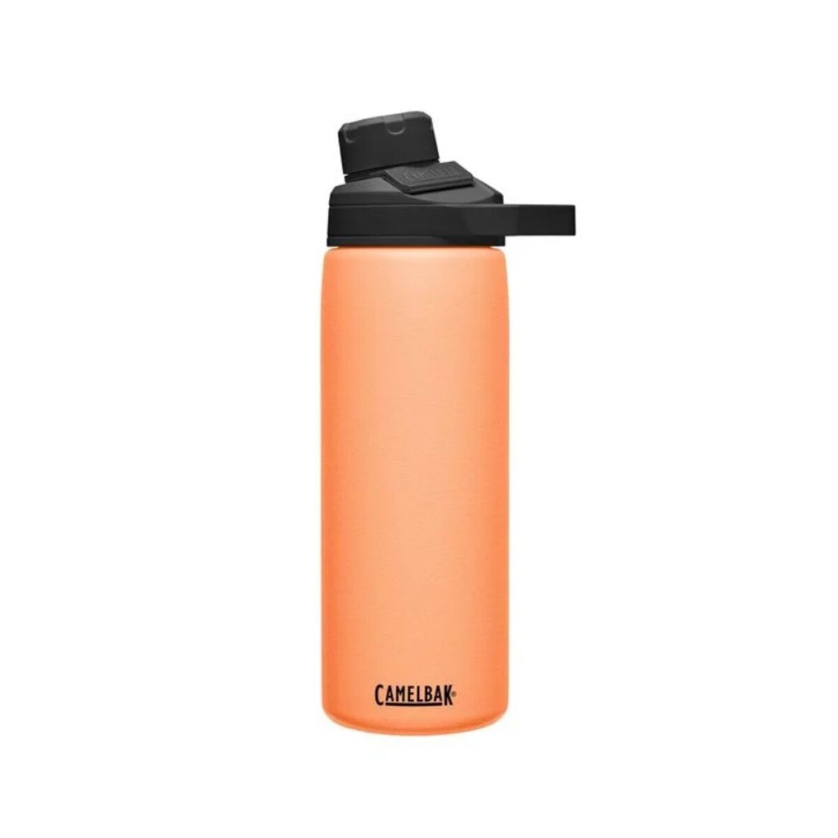 TERMO CAMELBAK 