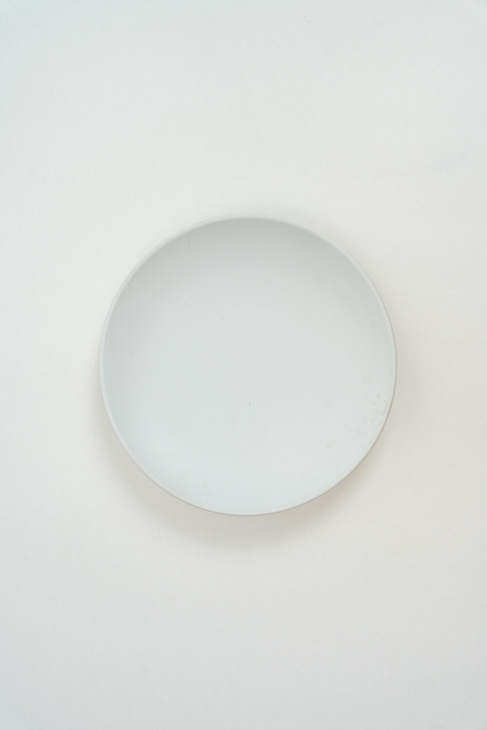 Plato Postre Pato Color Unico