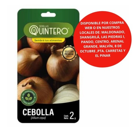 Semillas Cebolla x 2g
