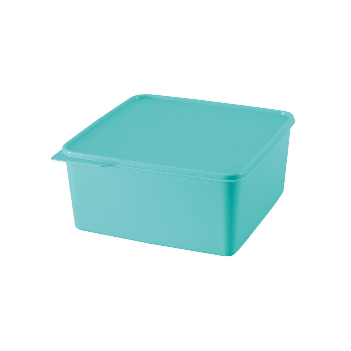 BASIC LINE TUPPERWARE 5 LT 