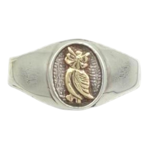 Anillo Profesión Profesor - Plata y Oro-Sin Piedra-AP5042 ap5042