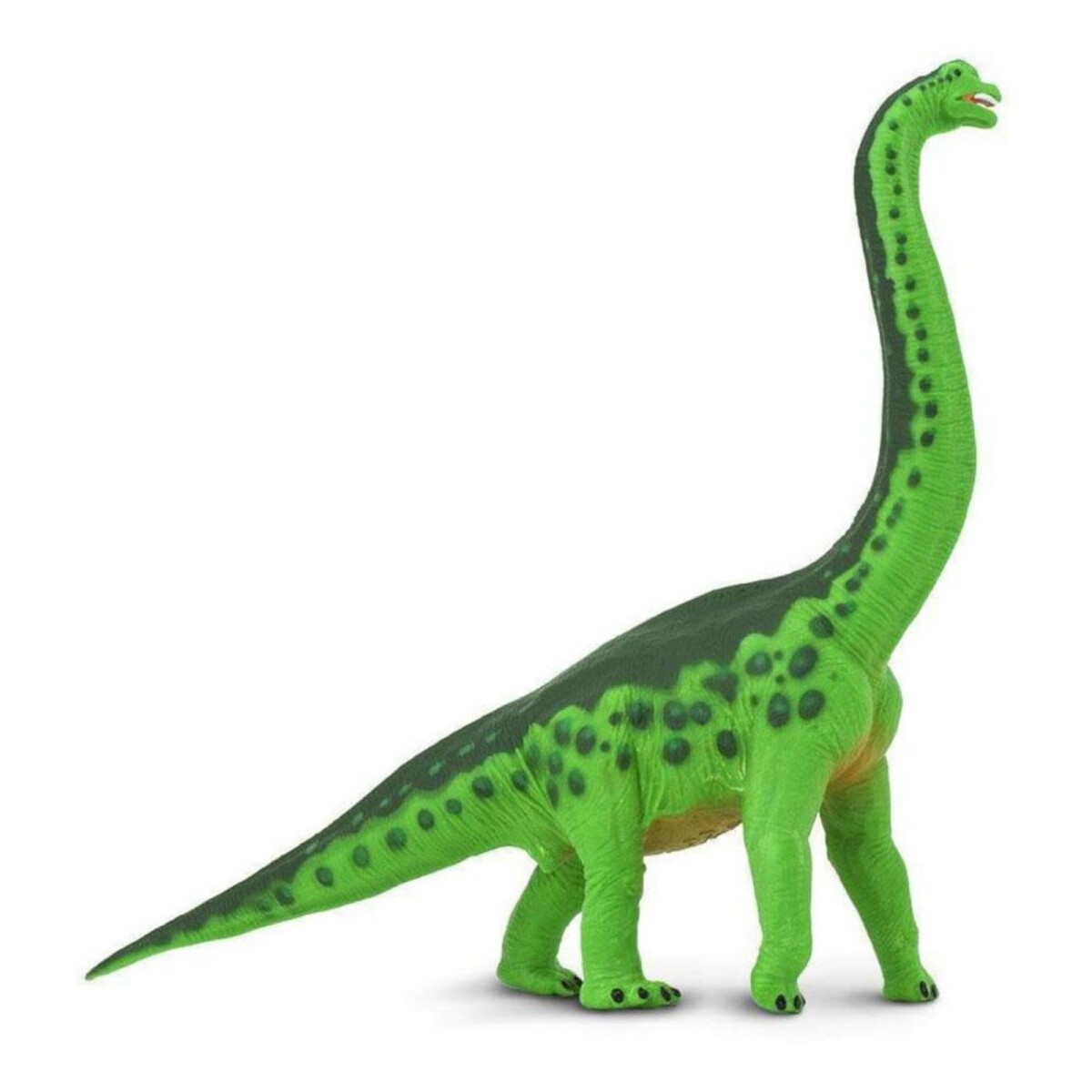 Dinosaurio Braquiosaurio Muñeco Escala Safari Brachiosaurus 